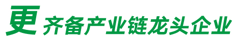 更齐备产业链龙头企业