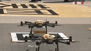 Drone Food Delivery
