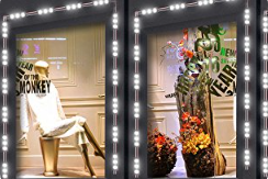 LED Injection Light Module